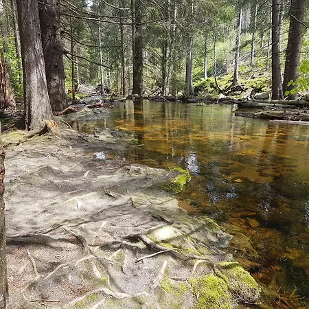 Pansiyon Szymonowka W Szklarskiej Porebie *