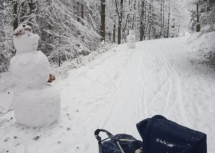 Homestay szállás Szymonowka W Szklarskiej Porebie Szklarska Poręba
