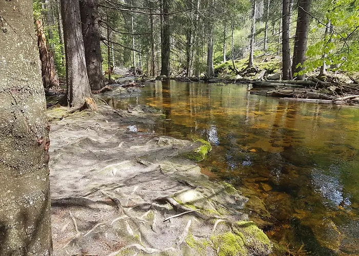 Проживание в семье Szymonowka W Szklarskiej Porebie *