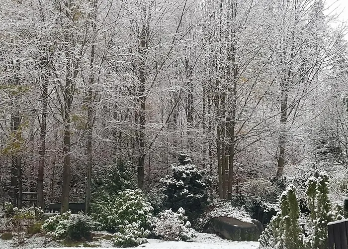 Szymonowka W Szklarskiej Porebie Проживание в семье *