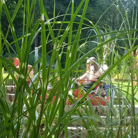 홈스테이 Szymonowka W Szklarskiej Porebie *