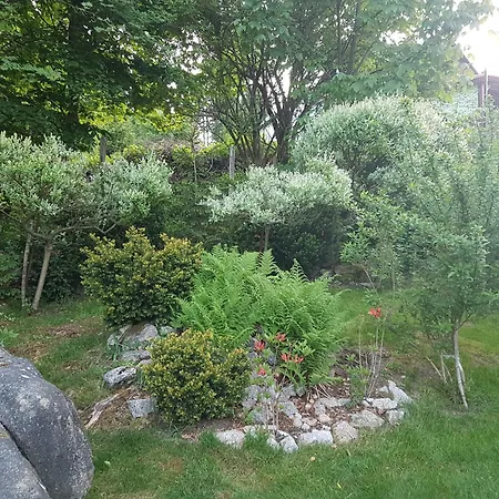 Szymonowka W Szklarskiej Porebie *