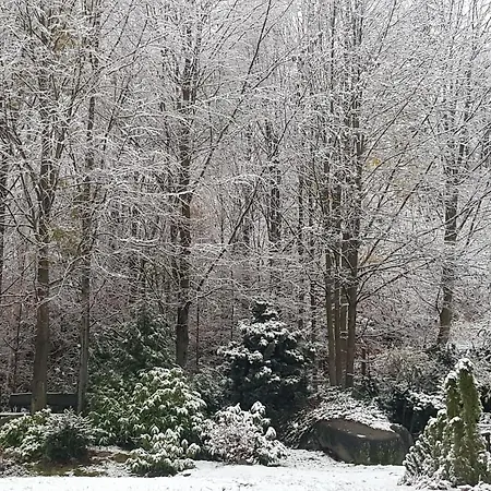 Szymonówka W Szklarskiej Porębie Quarto em Acomodações Particulares *