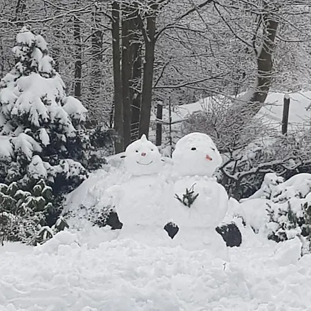 Szymonowka W Szklarskiej Porebie * 스클라르스카포렘바