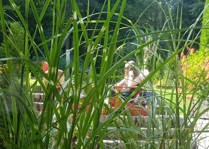 Ubytování v soukromí Szymonowka W Szklarskiej Porebie *