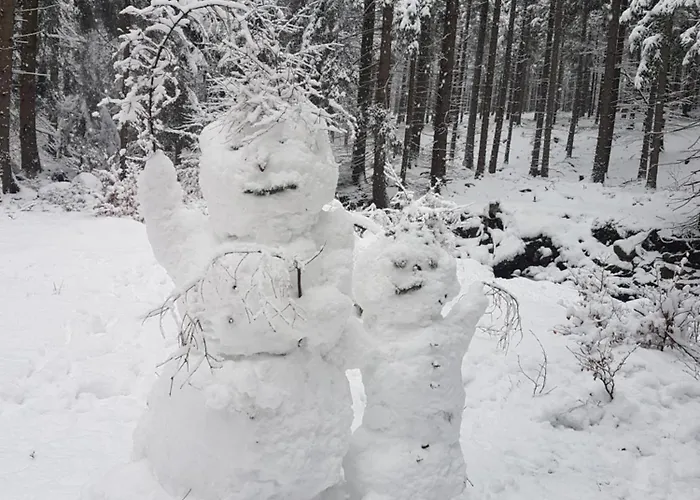 Szymonowka W Szklarskiej Porebie Sklářská Poruba