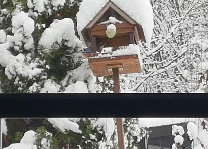 Szymonowka W Szklarskiej Porebie