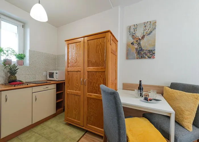 Szymonowka W Szklarskiej Porebie שצ'קלארסקה פוראובה